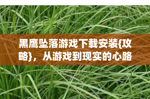 从游戏到现实的心路历程图片