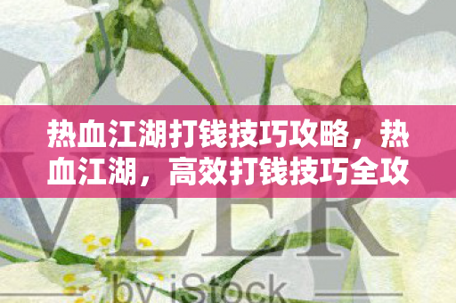 热血江湖打钱技巧攻略，热血江湖，高效打钱技巧全攻略