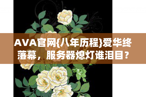 AVA官网{八年历程}爱华终落幕，服务器熄灯谁泪目？
