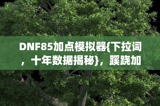 DNF85加点模拟器{下拉词,十年数据揭秘},蹊跷加点藏真相 DNF85加点模拟器{下拉词,十年数据揭秘},蹊跷加点藏真相