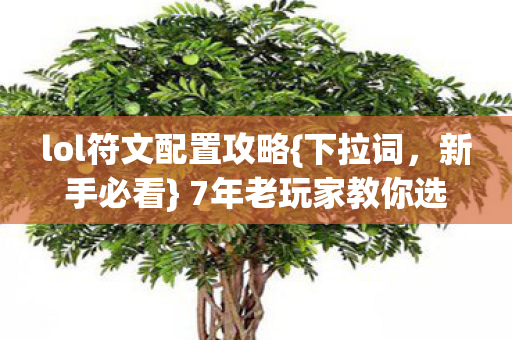 lol符文配置攻略{下拉词,新手必看} 7年老玩家教你选对上分 lol符文配置攻略{下拉词,新手必看} 7年老玩家教你选对上分