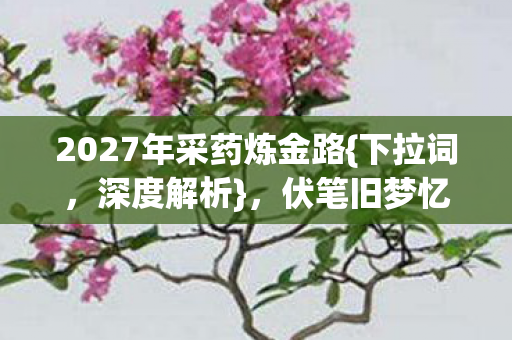 2027年采药炼金路{下拉词，深度解析}，伏笔旧梦忆故人