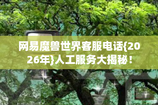 网易魔兽世界客服电话{2026年}人工服务大揭秘! 网易魔兽世界客服电话{2026年}人工服务大揭秘!