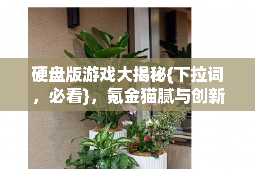 硬盘版游戏大揭秘{下拉词,必看},氪金猫腻与创新陷阱 硬盘版游戏大揭秘{下拉词,必看},氪金猫腻与创新陷阱