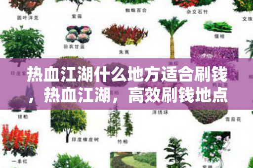 热血江湖什么地方适合刷钱,热血江湖,高效刷钱地点推荐 热血江湖什么地方适合刷钱,热血江湖,高效刷钱地点推荐
