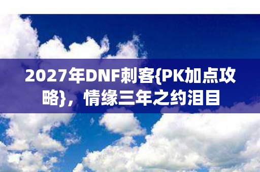2027年DNF刺客图片