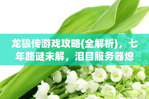 龙狼传游戏攻略{全解析},七年路谜未解,泪目服务器熄灯 龙狼传游戏攻略{全解析},七年路谜未解,泪目服务器熄灯