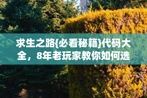 求生之路{必看秘籍}代码大全,8年老玩家教你如何选! 求生之路{必看秘籍}代码大全,8年老玩家教你如何选!