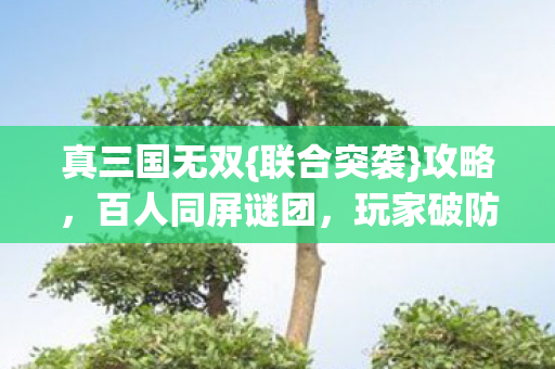 百人同屏谜团图片