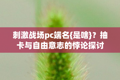抽卡与自由意志的悖论探讨图片