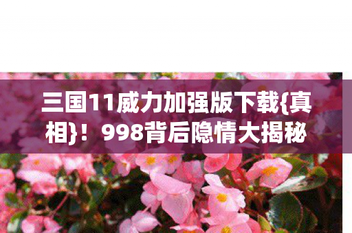 三国11威力加强版下载图片