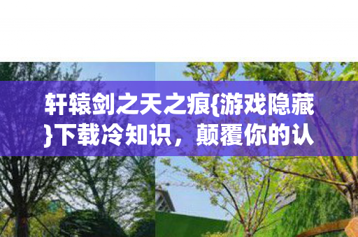 轩辕剑之天之痕图片
