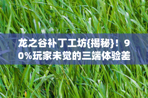 龙之谷补丁工坊{揭秘}!90%玩家未觉的三端体验差 龙之谷补丁工坊{揭秘}!90%玩家未觉的三端体验差