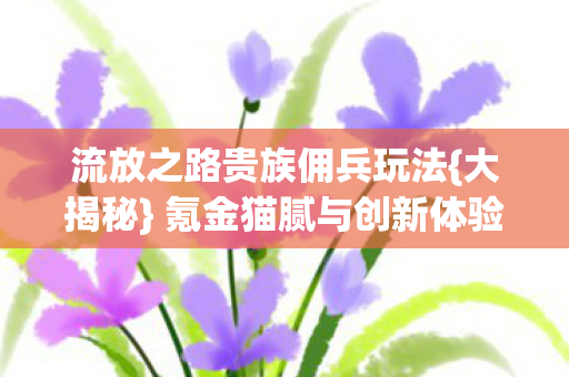 流放之路贵族佣兵玩法{大揭秘} 氪金猫腻与创新体验
