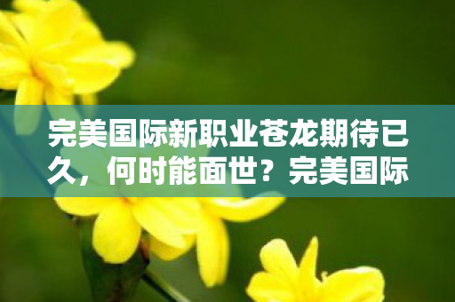 完美国际新职业苍龙期待已久图片