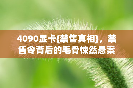 4090显卡{禁售真相},禁售令背后的毛骨悚然悬案 4090显卡{禁售真相},禁售令背后的毛骨悚然悬案