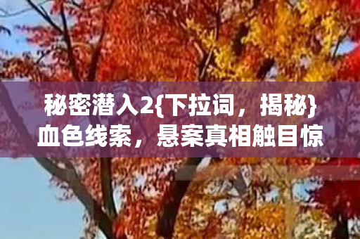 秘密潜入2{下拉词,揭秘}血色线索,悬案真相触目惊心 秘密潜入2{下拉词,揭秘}血色线索,悬案真相触目惊心