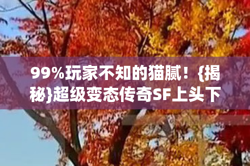 超级变态传奇SF上头下头操作图片