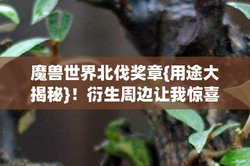衍生周边让我惊喜连连图片