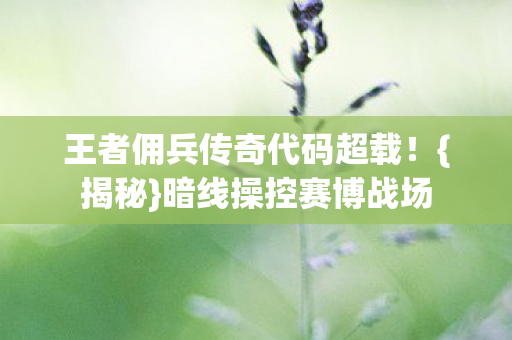 王者佣兵传奇代码超载图片