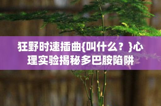 心理实验揭秘多巴胺陷阱图片