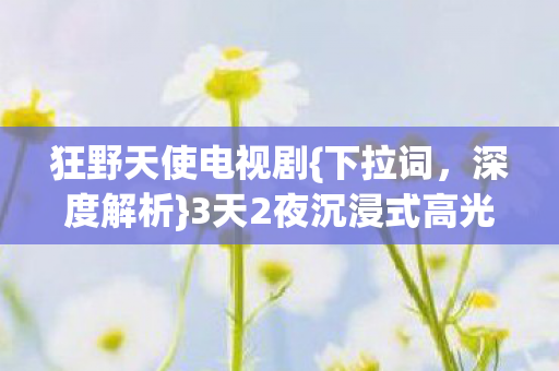 狂野天使电视剧{下拉词，深度解析}3天2夜沉浸式高光体验