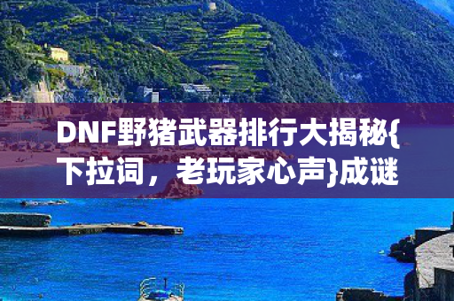 DNF野猪武器排行大揭秘图片