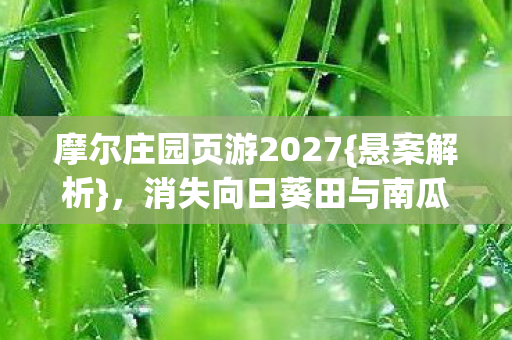 消失向日葵田与南瓜灯之谜图片