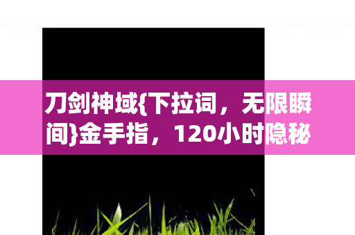 120小时隐秘通关夜图片