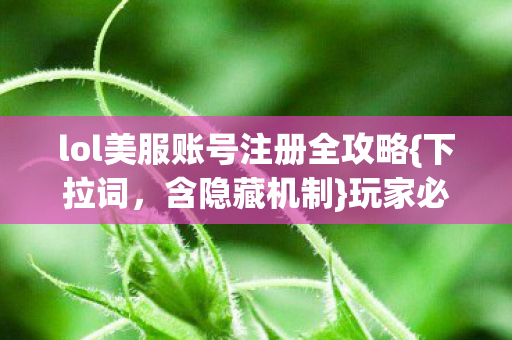 lol美服账号注册全攻略图片