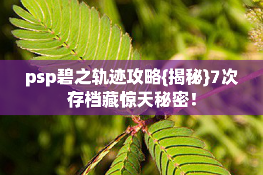 psp碧之轨迹攻略图片