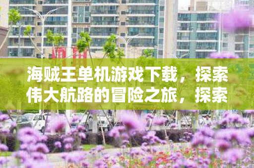 海贼王单机游戏下载开启冒险之旅图片