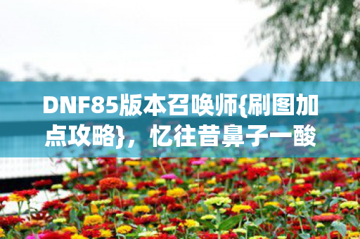 DNF85版本召唤师图片