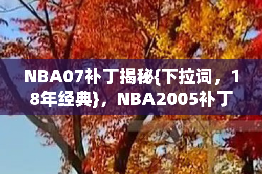 NBA2005补丁为何引玩家泪目图片