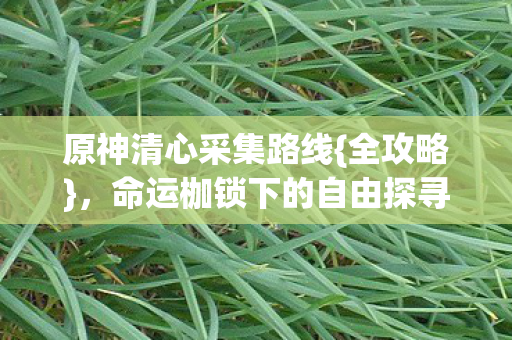 原神清心采集路线{全攻略},命运枷锁下的自由探寻 原神清心采集路线{全攻略},命运枷锁下的自由探寻