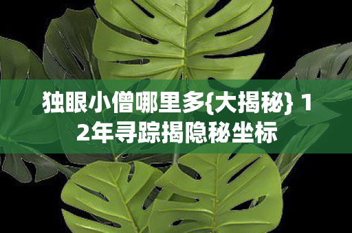 12年寻踪揭隐秘坐标图片