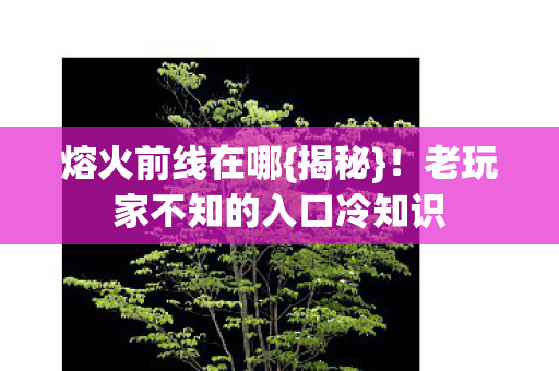 老玩家不知的入口冷知识图片