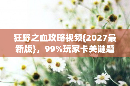 狂野之血攻略视频图片