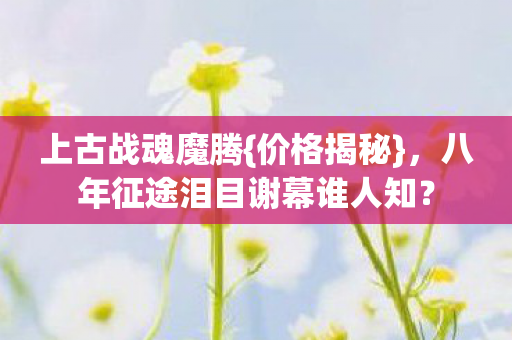 八年征途泪目谢幕谁人知图片