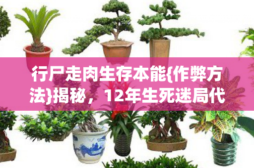 12年生死迷局代码泪图片