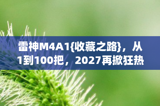 2027再掀狂热潮图片