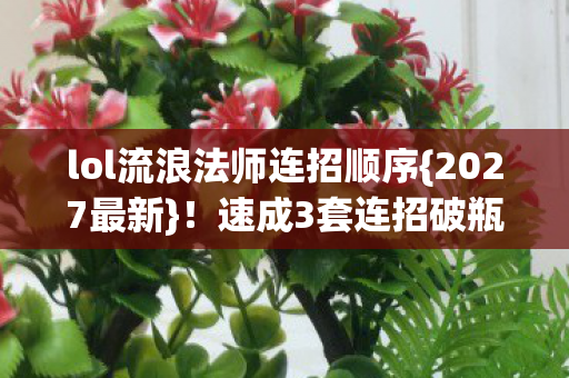 lol流浪法师连招顺序图片