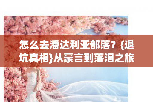 怎么去潘达利亚部落?{退坑真相}从豪言到落泪之旅 怎么去潘达利亚部落?{退坑真相}从豪言到落泪之旅