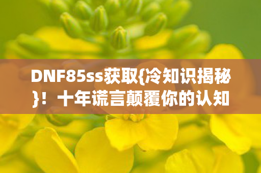 DNF85ss获取{冷知识揭秘}!十年谎言颠覆你的认知 DNF85ss获取{冷知识揭秘}!十年谎言颠覆你的认知