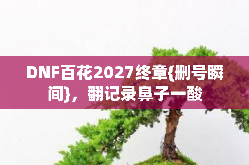 DNF百花2027终章图片