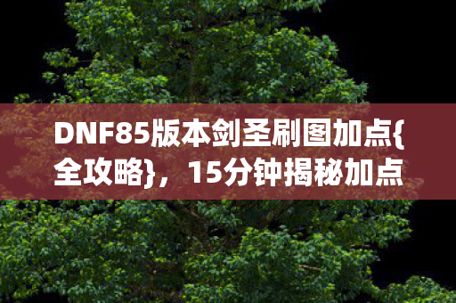 DNF85版本剑圣刷图加点{全攻略},15分钟揭秘加点之谜 DNF85版本剑圣刷图加点{全攻略},15分钟揭秘加点之谜