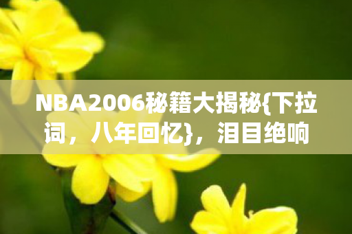 NBA2006秘籍大揭秘图片