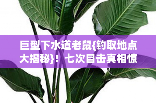 七次目击真相惊人图片