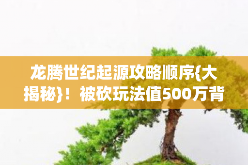 被砍玩法值500万背后图片
