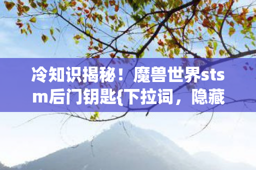 魔兽世界stsm后门钥匙图片